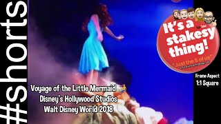 Little Mermaid Live Ariel Gets Her Legs Hollywood Studios Wdw
