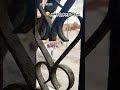 نزوح وجوع وقهر الخيام نزوح ادعمونا بالاشتراك و التفاعل جزاكم الله خيرا مجاعة يارب Foryou نزوح وجوع وقهر الخيام نزوح ادعمونا بالاشتراك و التفاعل جزاكم الله خيرا مجاعة يارب Foryou