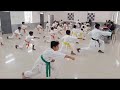 Royal park school karate belt grading 2024