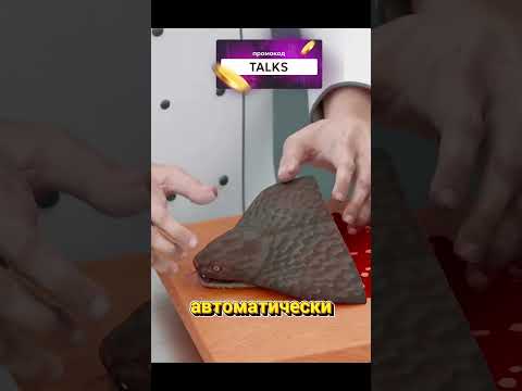 Почему нельзя трогать даже отрубленную змеиную голову