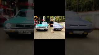 b310 nissan nissansunny oldcars oldisgold srilanka sunny classic tranding viral