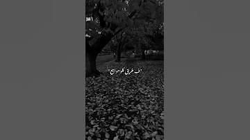 حالات واتس انا رايح مش راجع حوده بندق 