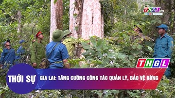Gia Lai Tăng cường công tác quản lý, bảo vệ rừng