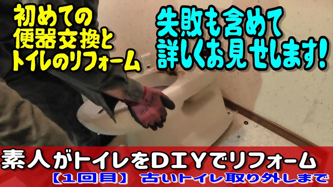 An amateur DIY toilet renovation [Up to removing the toilet bowl