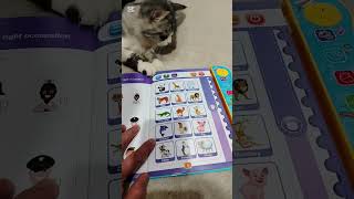 #cutecat learn animals #viralshort #shorts #trending #shortfeed