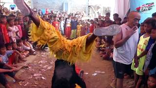 Download Lagu Kungfu Barongsai - Burok EPN (Ega Putra Nada) Japura Lor 14/11/2019 MP3