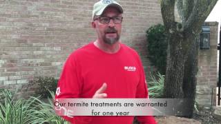 Treatment for Subterranean Termites   Houston Sugar Land Richmond TX