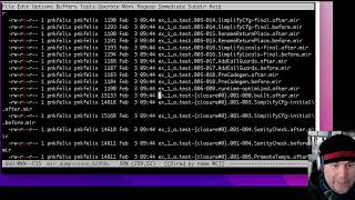 Celebrity Contributing to Rustc, Episode 4(a): MIR passes, MIR visitors, and a very simple MIR transform Wealth