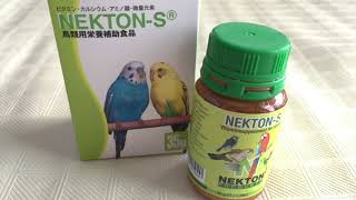 【姫うずら】買ってみた鳥用サプリ　The supplement for the bird which I bought　【King quail】
