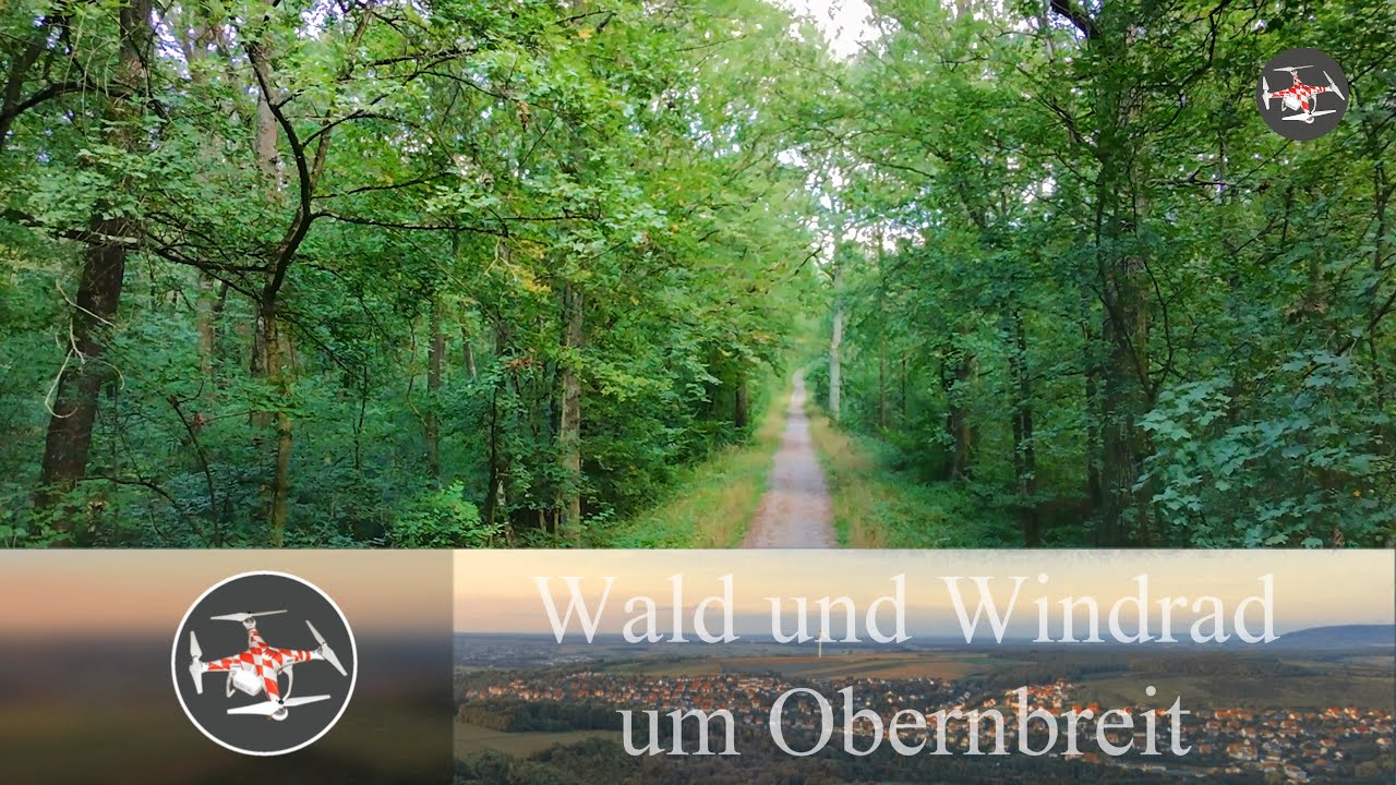 Wald und Windrad um Obernbreit
