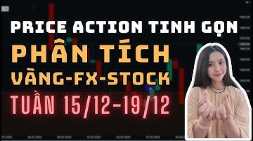 ✅Phân Tích VÀNG-FOREX-STOCK Tuần 15/12-19/12 Theo Phương Pháp Price Action Tinh Gọn | TraderViet