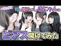 【緊張の!】叶と姫乃がしきにゃんにピアス開けてみた。【ロブ】【ヘリックス】