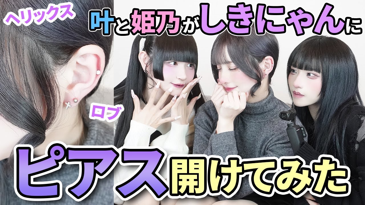 【緊張の！】叶と姫乃がしきにゃんにピアス開けてみた。【ロブ】【ヘリックス】