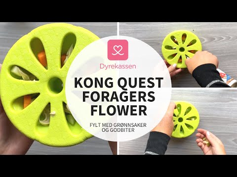 kong quest foragers flower