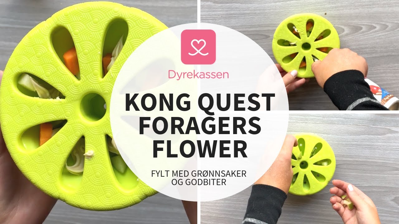 kong quest foragers flower