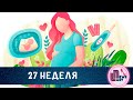 27 Двадцать седьмая неделя беременности