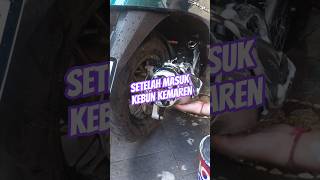 #honda #stylo160 #modifikasi #scooter #matic #danapelajar #dailyuse #shorts #cucimotor