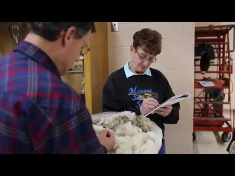 70th Annual Montana Seed Show - YouTube
