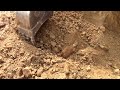 See The Fresh Cut Into Virgin, Diamond-Bearing Ore At Southwest Arkansas' Worthington Diamond Mine