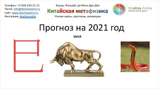 Астрологический прогноз для типа личности людей ЗМЕЯ на 2021 год.| Дестини Астро - астролог!