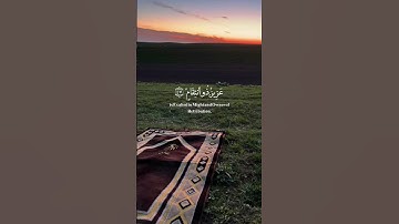 #القرآن_الكريم #صلاة #ﷺ #قرآن #كتاب #تلاوة_خاشعة #راحة_نفسية #سورة_الملك #قرآن_كريم