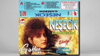 Neşecik - Ayrılık Kolay Değil 1991 #arabesk Resimi