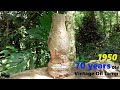 70 years old rusty oil lamp restoration | Vintage kerosene oil lamp restoration | RofA video