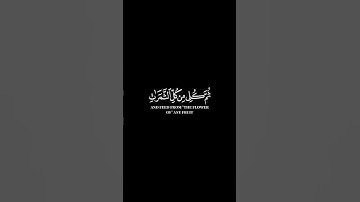 كرومات ايات قرانية شاشة سوداء || سورة النحل للقارئ رعد الكردي #رعدالكردي #سورة_النحل #رعد_الكردي