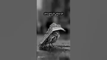 اللهم أياما يضحك لها قلبي حالات واتساب 