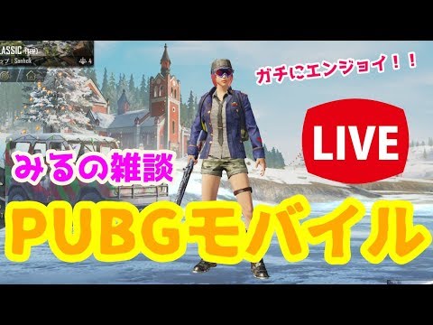 Pubg アイテム分割