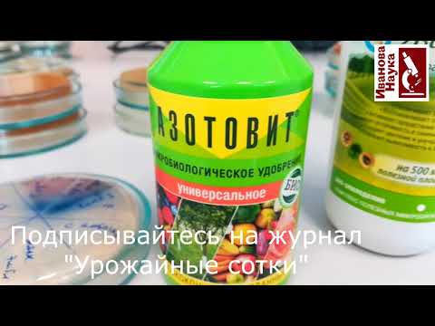 Деньги на ветер?