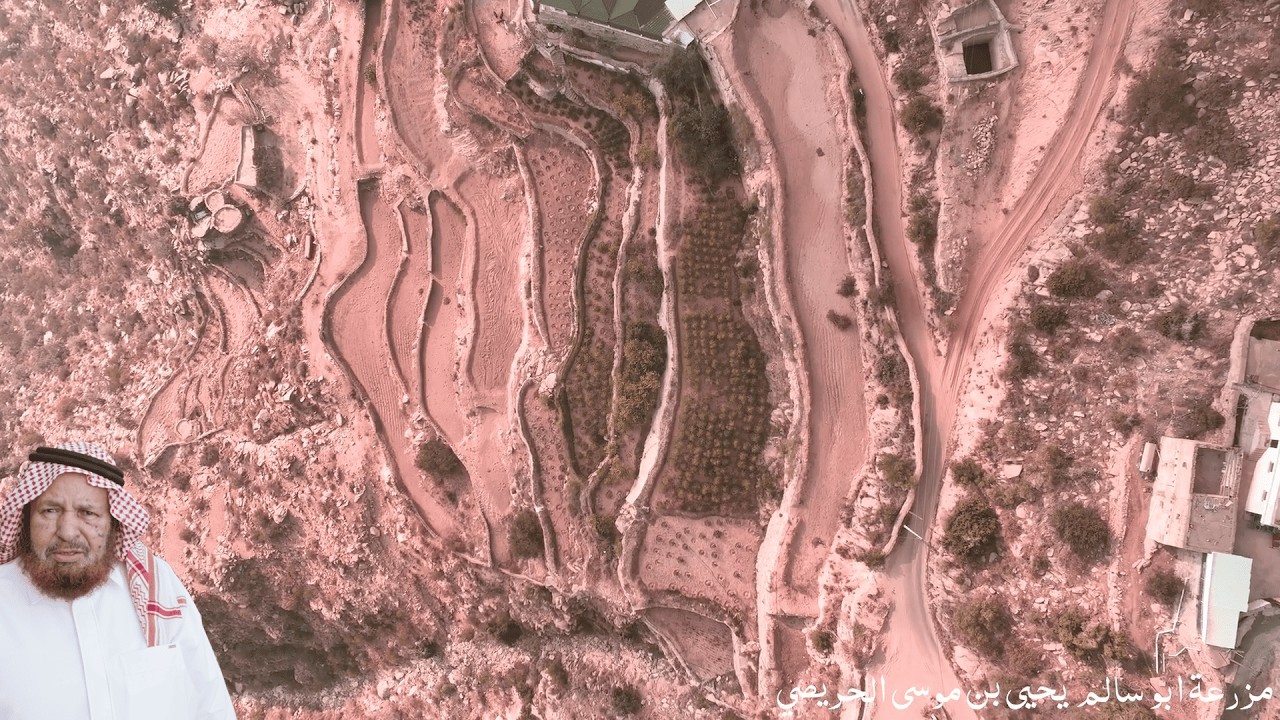 مزرعة ابو سالم - يحيى بن موسى الحريصي الواقعة في مركز جبال الحشر