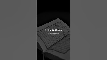 وإذا قرئ القرآن فاستمعوا له  | #قرآن #سورة_الأعراف #ماهر_المعيقلي