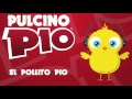 Audio El Pollito Pio