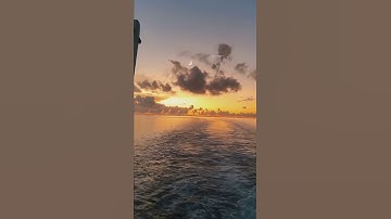 (拼课加V：Easy_Study_)图灵Java架构师-第五期