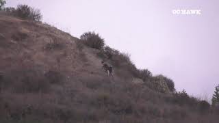 Mission Viejo shooting incident 6-27-21