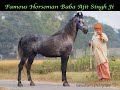 Horseman the legend baba ajit singh ji breeder os famous stallion shani