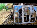 Как нам установила ФИРМА металлопластиковые окна за 70000 рублей