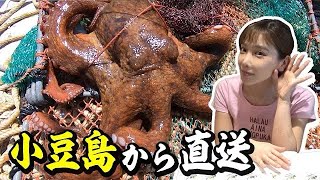 漁師さんからいただいた新鮮な海鮮を使って贅沢な宴会を家族で開催！【はまゆうコラボ】