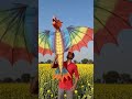 dragon Patang