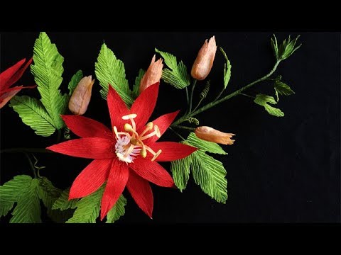 abc tv how to make passion paper flower from crepe paper craft tutorial paper flower tutorial youtube