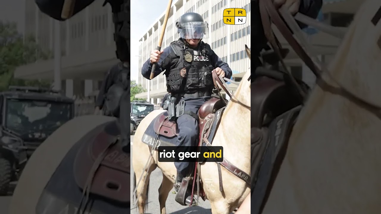 Journalist SHOT IN THE HEAD by LA police while covering protests