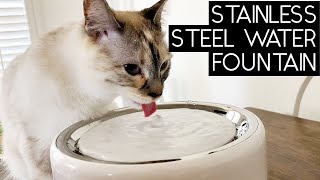 PETKIT EVERSWEET 3 WATER FOUNTAIN REVIEW | SVEN AND ROBBIE