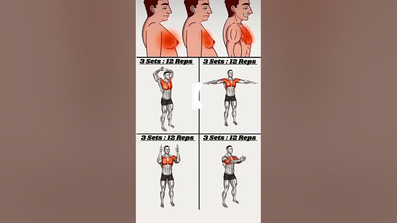 High Effective Chest Workout for beginners! #music #gym #homeworkout #chest #fitness #chestworkout