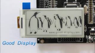 2 9 inch E-ink display with partial update/fast update/no flicker update