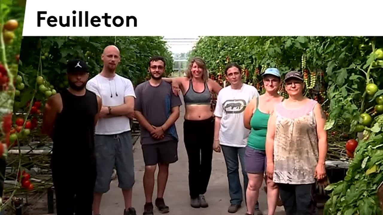 Dans les coulisses de la Tomate Gourmande dans l'Indre #4 france télévisions sport