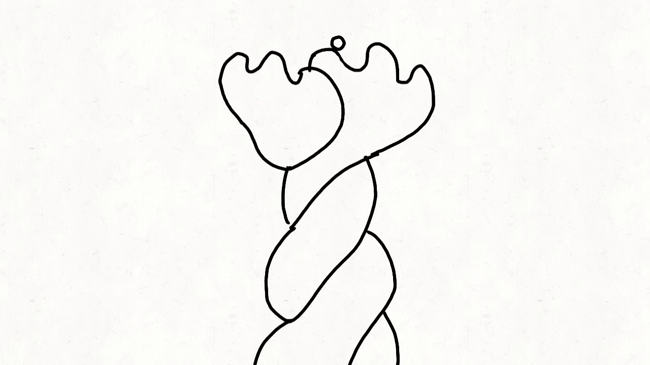 Random loop animation - YouTube