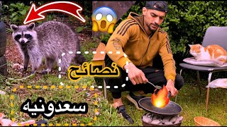 سعدون وفواز حيوان الراكون  نصائح رياضيه سعدونيه 👌🏾🔥