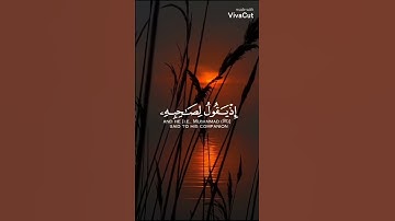 {إلَّا تَنصُرُوهُ فَقَدْ نَصـَرَهُ ٱللَّهُ}تلاوة هادئة آيات سكينة للقارئ عبد الرحمن مسعد💜✨