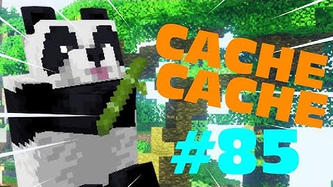 CACHE CACHE SUR MINECRAFT MAP PANDA FACHÉ EPISODE 85